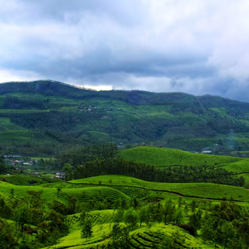vagamon